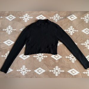 Joie Black Ribbed Crop Top